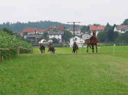 isen02_06.jpg (169597 Byte)