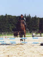 leo8.jpg (24998 Byte)