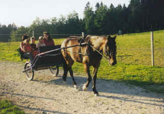 leo9.jpg (70437 Byte)